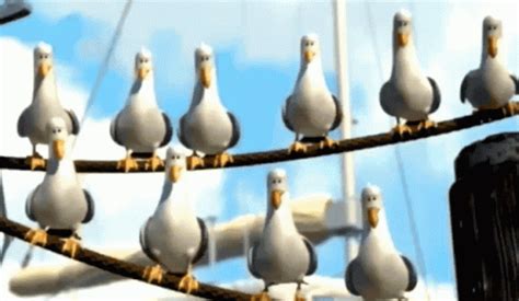 Finding Nemo Flock Of Seagulls Mine GIF | GIFDB.com