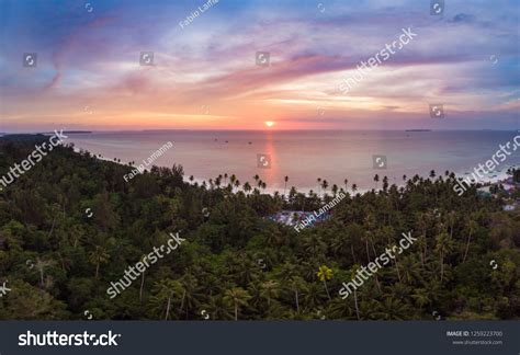 Aerial View Tropical Beach Island Reef Stock Photo 1259223700 ...