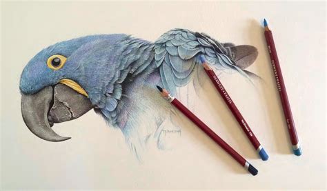 Pastel Pencil Drawing Ideas - Draw-nugget