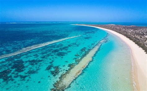 The best snorkeling in Coral Bay, Western Australia | OutsiderView