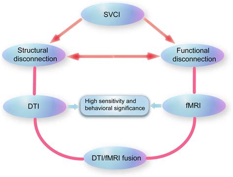 Contribution of diffusion, perfusion and functional MRI to the disconnection hypothesis in ...