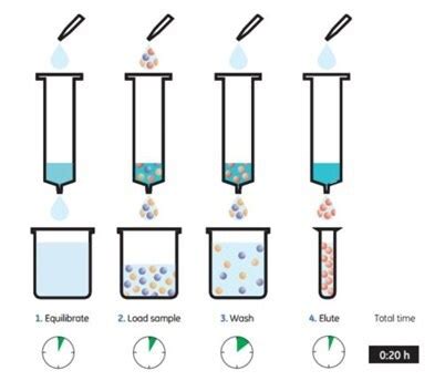 Gravity-ﬂow Puriﬁcation using His GraviTrap™ and His GraviTrap™ Kit