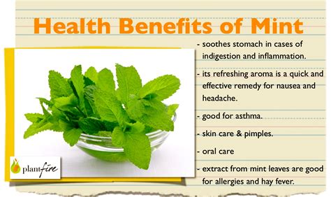 mint nutritional benefits