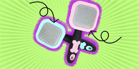 Best Short Hair Dog Brushes For A Healthy Coat - DodoWell - The Dodo