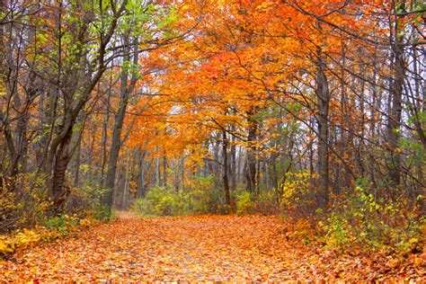 The 10 Best Biking Trails For Fall RV Trips