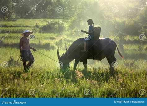 Daughter and Dad this is Lifestyle of Family Farmer Stock Photo - Image of father, field: 103414386