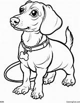 Golden Retriever Puppy Coloring Page sketch template