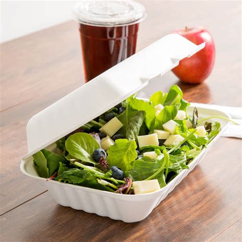 Earth Choice 9" X 6" Hinged Lid Bagasse Container in from Simplex Trading | Household ...