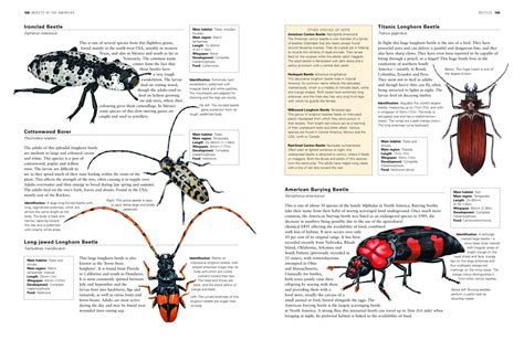 [Solved] Illustrated encyclopedia template | SolveForum