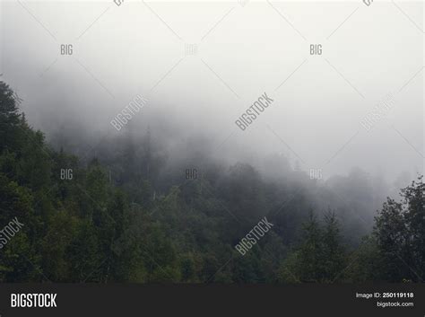 Foggy Landscape Green Image & Photo (Free Trial) | Bigstock