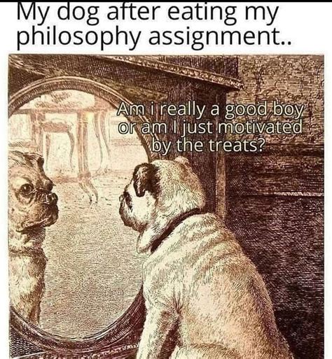 philosophy dog - Meme by DaMusicGamer :) Memedroid