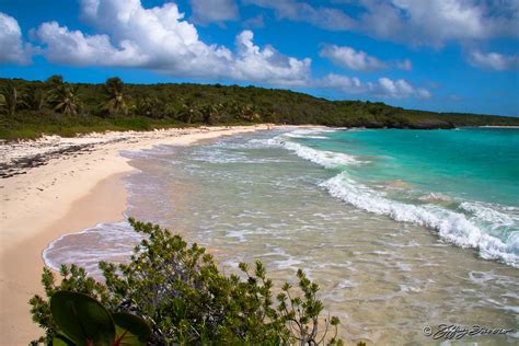 Vieques Beaches - At Wind Chimes