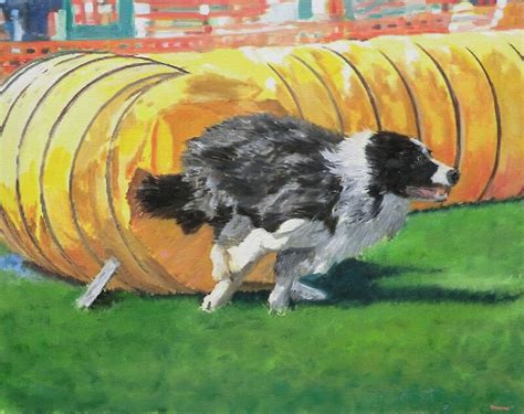 "Dog Agility Tunnel!" by Brad A. Thomas | Redbubble