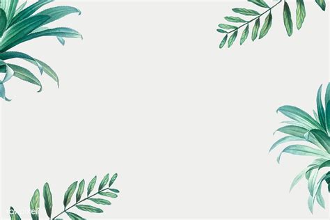 Hand drawn tropical leaves on a white background | premium image by rawpixel.com | Palm tree ...