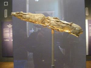 The Swimming Reindeer sculpture of 13,000 years ago shows imagination ...