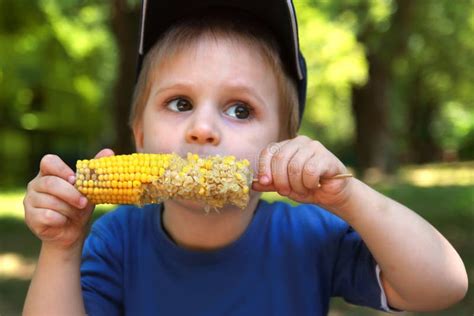 Little Boy Eating Corn on the Cob Stock Image - Image of bite, cute: 20579497