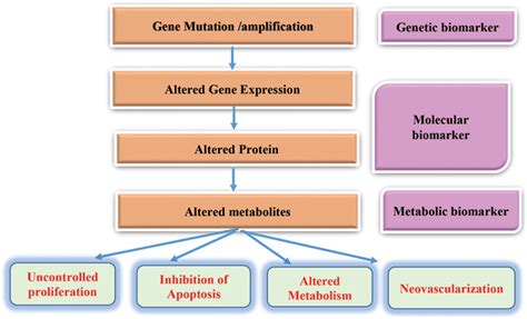 Cancer Biomarkers | IntechOpen