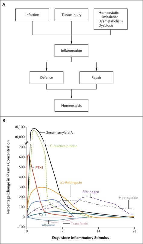 Humoral Innate Immunity and Acute-Phase Proteins | NEJM