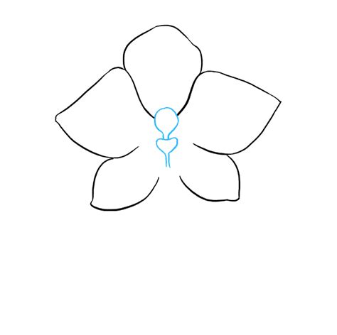 How to Draw a Beautiful Orchid - Really Easy Drawing Tutorial