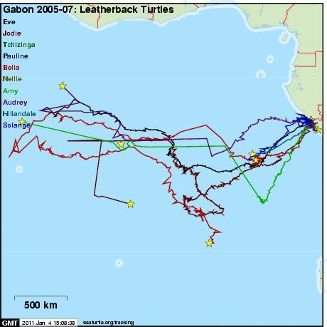 Epic Leatherback Turtle Migration Tracked by Satellite for First Time! : TreeHugger