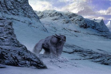 Mysterious Footprint of Yeti Sighted in the Nepal Himalaya - Trek In Nepal