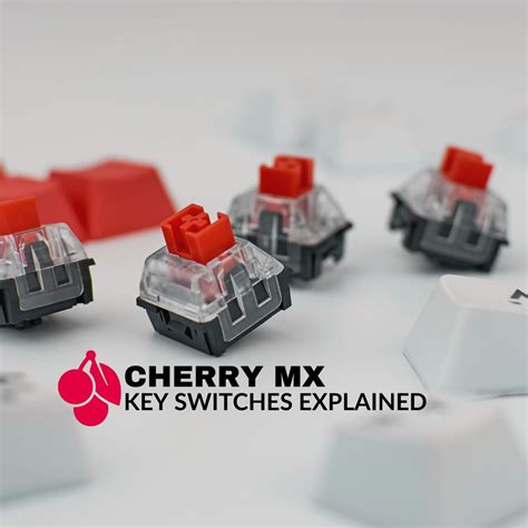 Cherry MX Switches: Explained