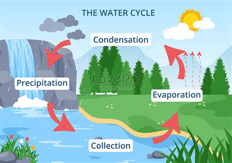 Condensation Water Cycle