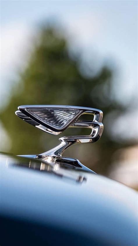 Bentley Emblem, car, logo, HD phone wallpaper | Peakpx