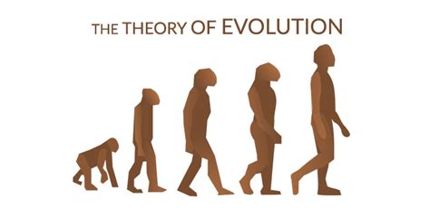 Theory of Evolution: Charles Darwin and Natural Selection - Earth How