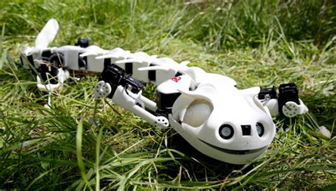 Biorobotics; creating robots that mimic the movements of nature - 3Dnatives