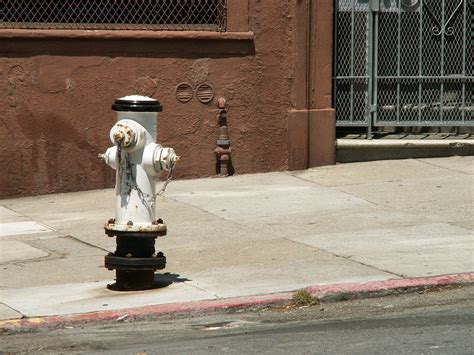 SF: Fire Hydrant 01 Free Photo Download | FreeImages