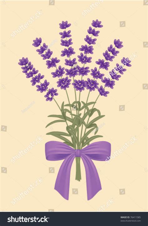 Lavender Bouquet Stock Vector Illustration 76411585 : Shutterstock