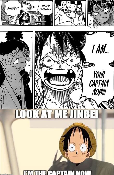 Luffy on the newest chapter in 2020 | One piece images, One piece anime, Anime funny