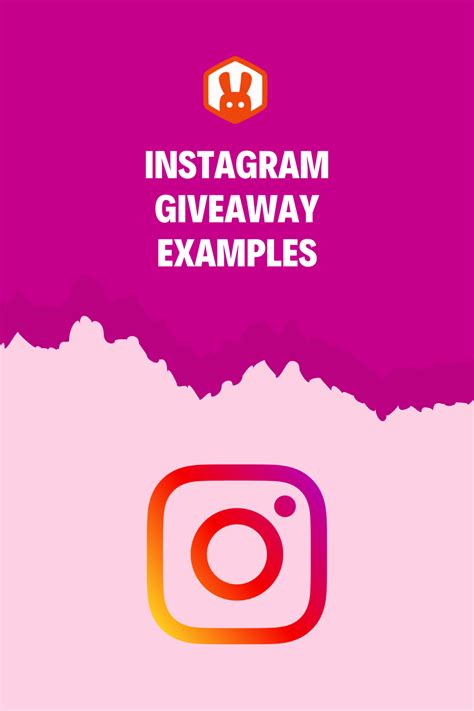 15 Instagram Giveaway Examples to Grow Your Audience (2024)