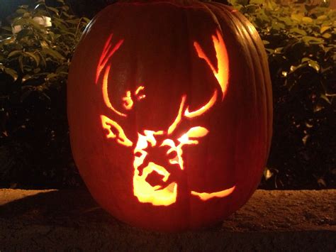 11 creative pumpkins carved to look like wildlife - Cottage Life