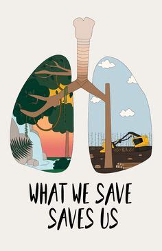 30+ Best Deforestation poster images in 2020 | deforestation poster, environmental art, save earth