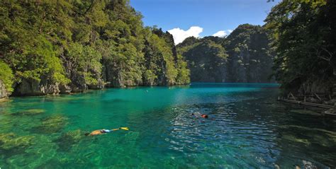 Palawan Diving | Original Diving