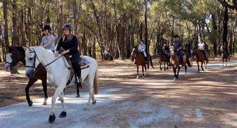 Zia Park Horse Trail Riding | Trail riding horses, Horse trail, Horses