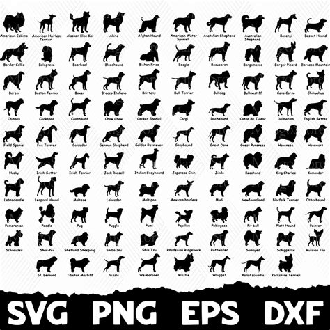 Animal Svg Bundle, Animal Svg, Animal Silhouette, Animal Cut - Inspire ...