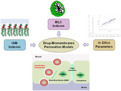 Interdisciplinary approaches to the study of biological membranes