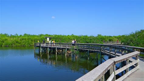 The Anhinga Trail in Everglades National Park | Everglades national ...