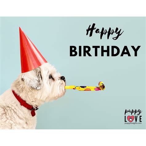 Happy Birthday Dog Card – Puppy Love Gifts Shop