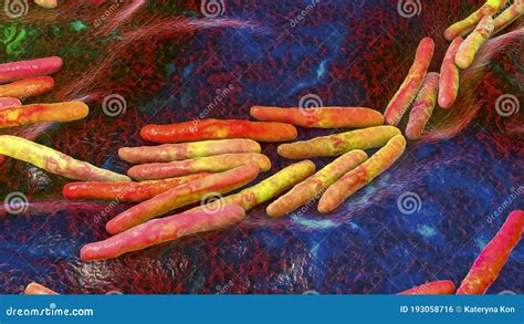 Bacteria Mycobacterium Tuberculosis Royalty-Free Stock Image ...