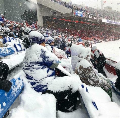 Bills fans don't let a little snow stop them from enjoying the game ...