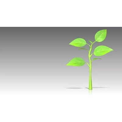 Growing Plant | A PowerPoint Template from PresenterMedia.com