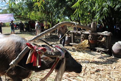 Guling Guling Festival : Paoay, Ilocos Norte's 400 Year Old Tradition