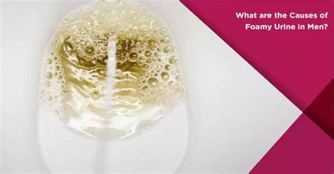 Causes of Foamy Urine in Men | Nova IVF Fertility