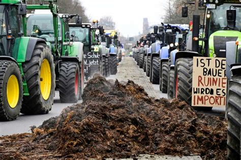 Germany drops planned subsidy cuts after farmers protest - Legit.ng