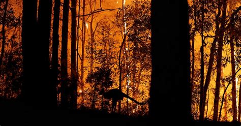 Are Wildfires Natural Disasters? Here's What Experts Say