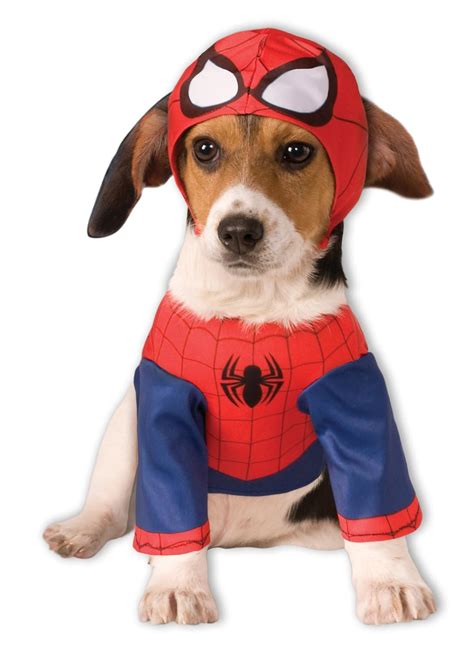 Large Dog Halloween Costumes for Your Super hero